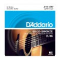 Daddario EJ36
